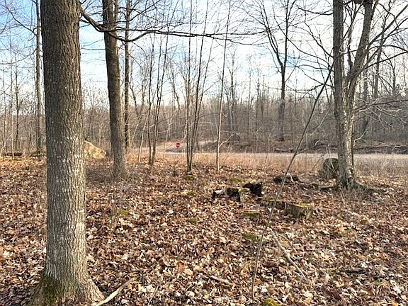 5th image of LOT 1 Thorn Apple Dr