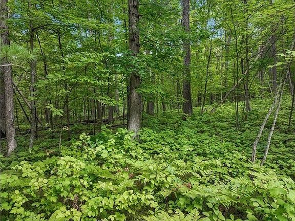 5th image of 7 acres Crystal Mountain Road