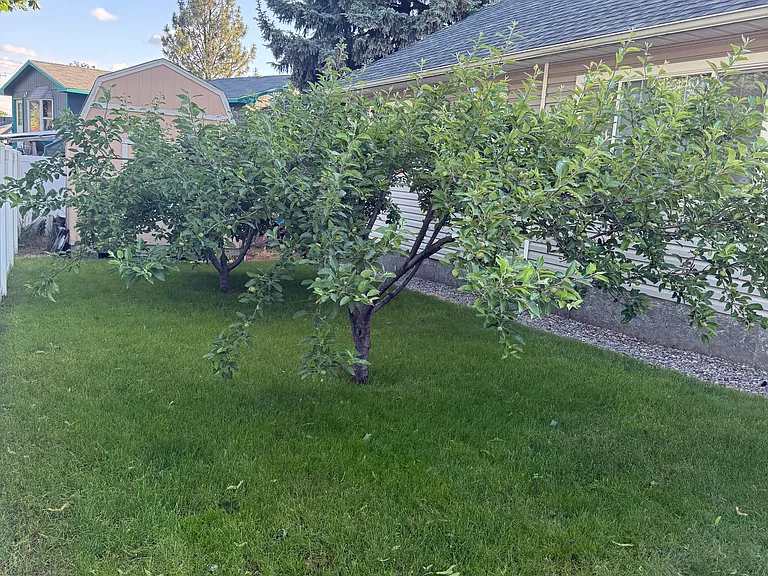 2307 S Best Rd — Photo 23