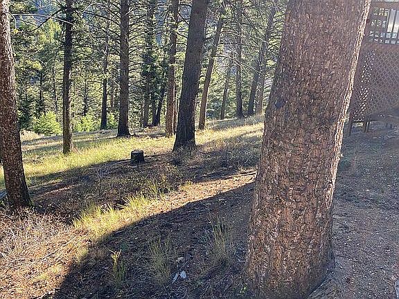 5th image of 12 Elk Summit Way