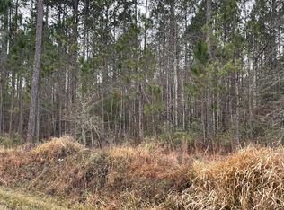 389 Topton Rd, Mc Intosh, AL 36553