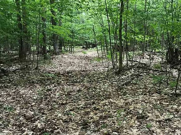 5th image of 11500 Fredmar Dr
