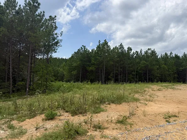 0 Warren Proctor Ln Lot 20, Erin, TN 37061