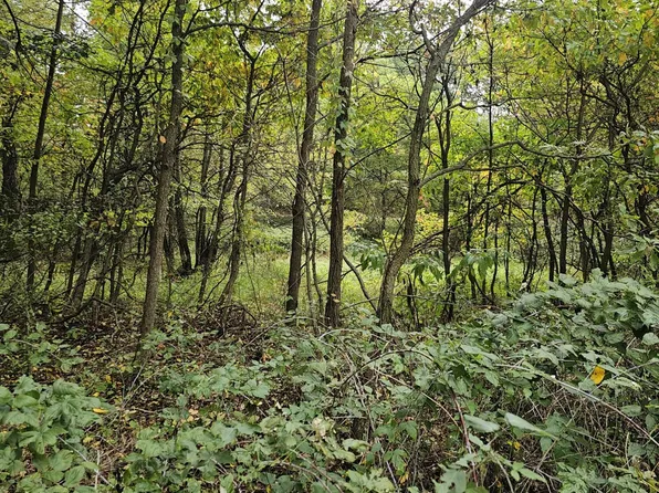 1491 E Litchfield Rd Parcel C, Jonesville, MI 49250
