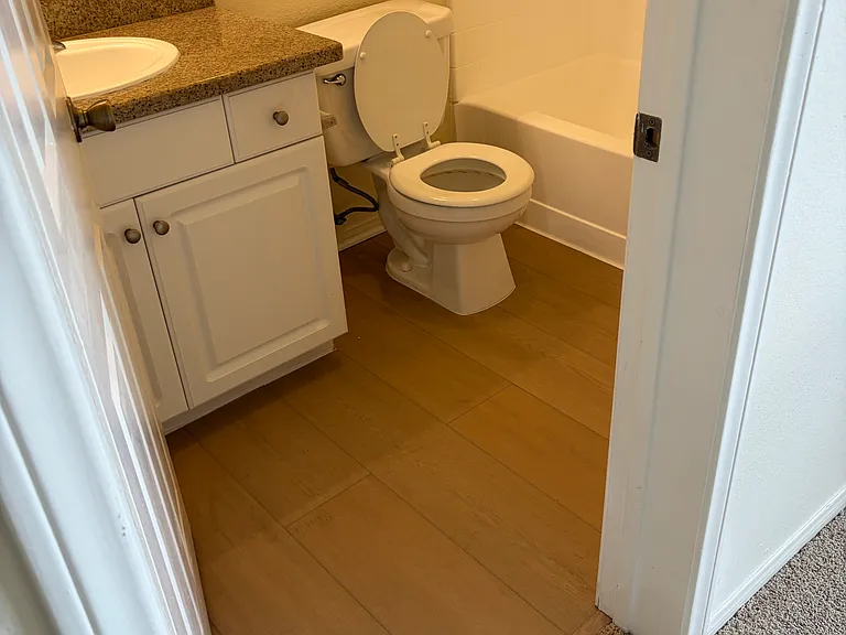 Master bathroom