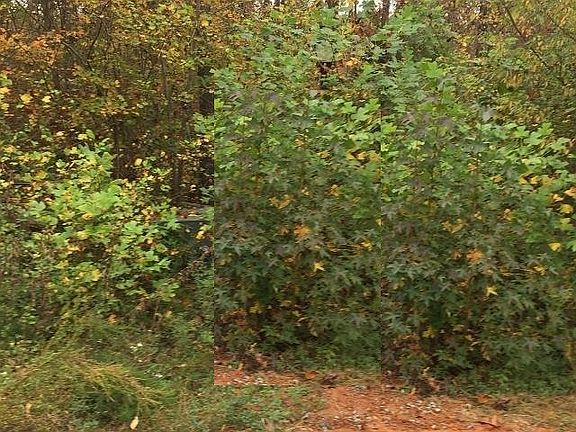 2nd image of 148 Knotts Ln #148