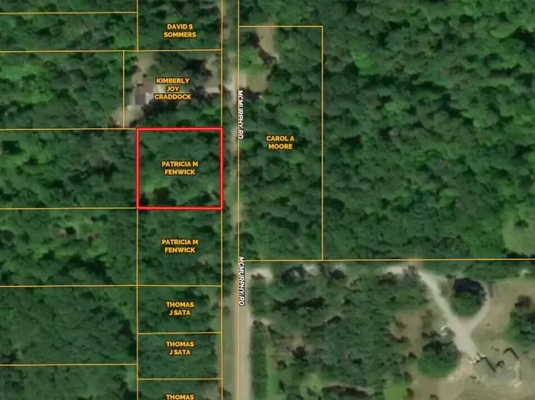LOT 8 McMurphy Rd, Atlanta, MI 49709