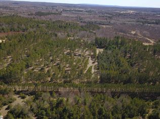 Niemi Rd, Kaleva, MI 49645