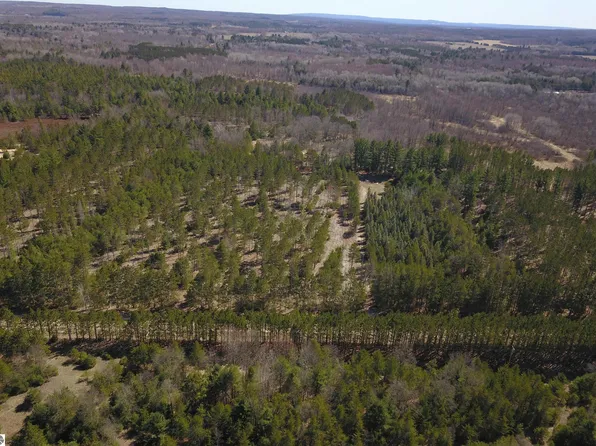 Niemi Rd, Kaleva, MI 49645
