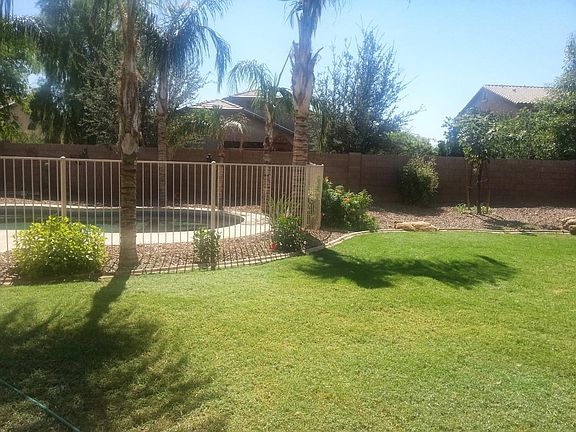 backyard and pool