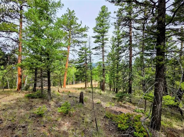 223 Shavano Creek Trl, Florissant, CO 80816