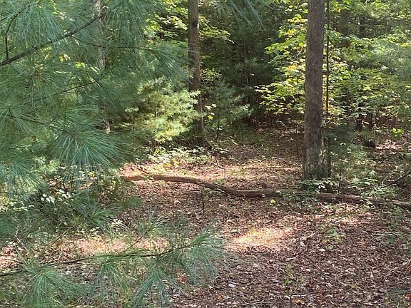 4th image of 0 Blackberry Hill Ln
