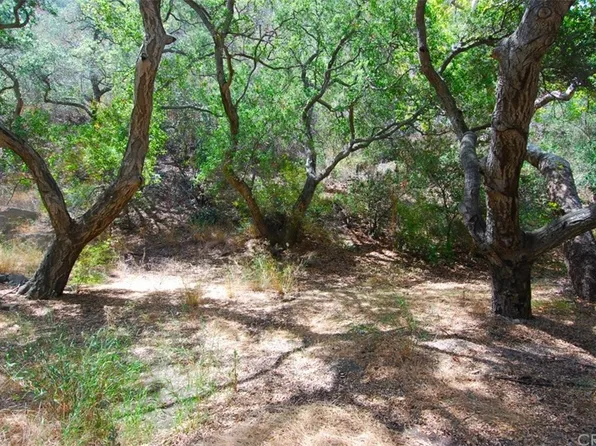 28552 Silverado Canyon Rd, Silverado, CA 92676