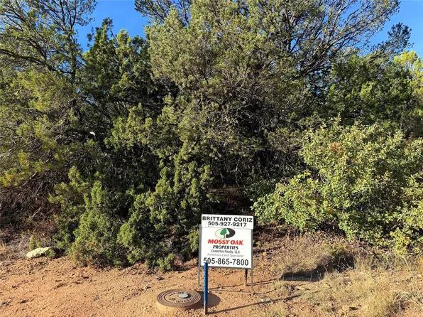 9 Peterson Rd, Edgewood, NM 87015