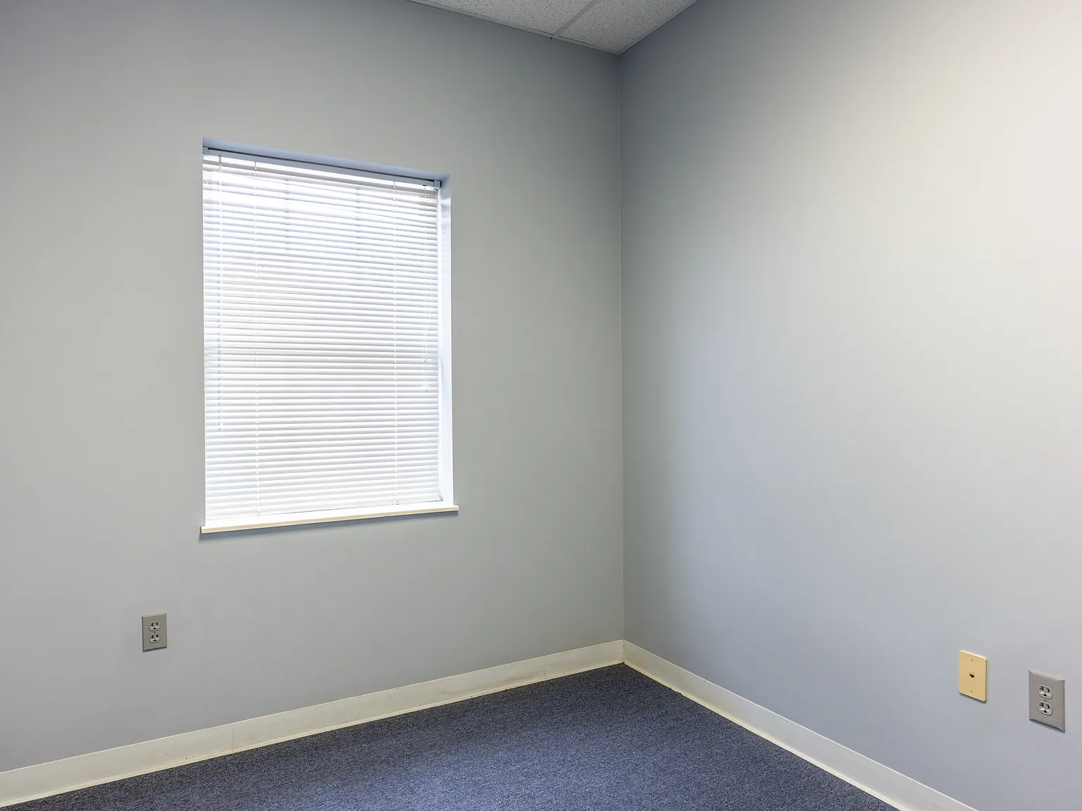 305 Grady Road - 1 — Photo 2