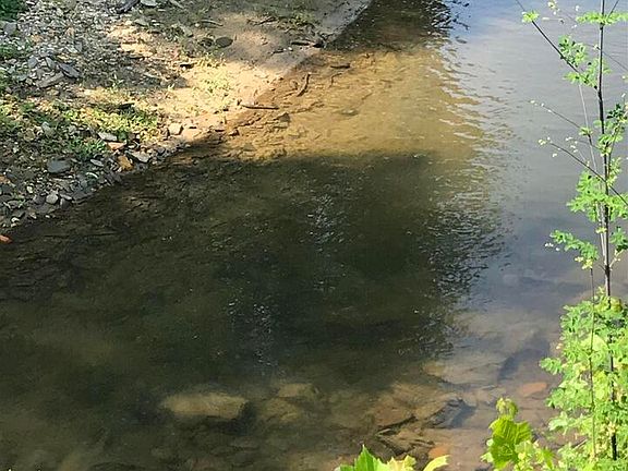 3rd image of 0 Clear Creek Valley Dr #11