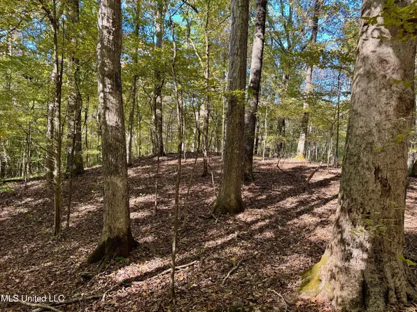 Tbd Cr 493, Oxford, MS 38655