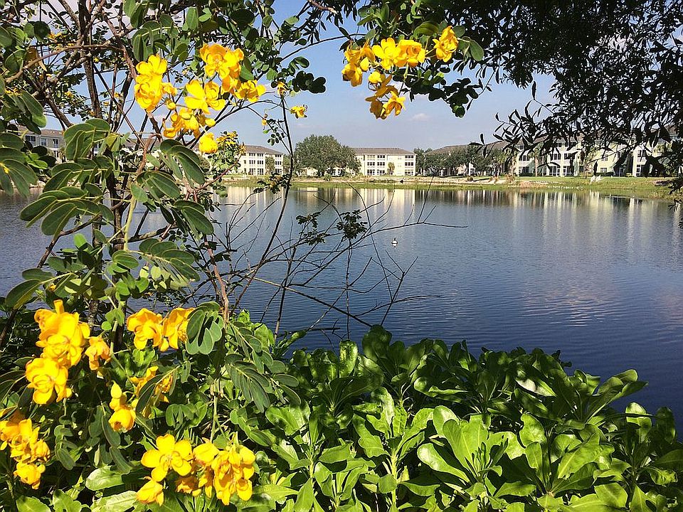 1st image of 19355 Water Oak Dr Unit 103
