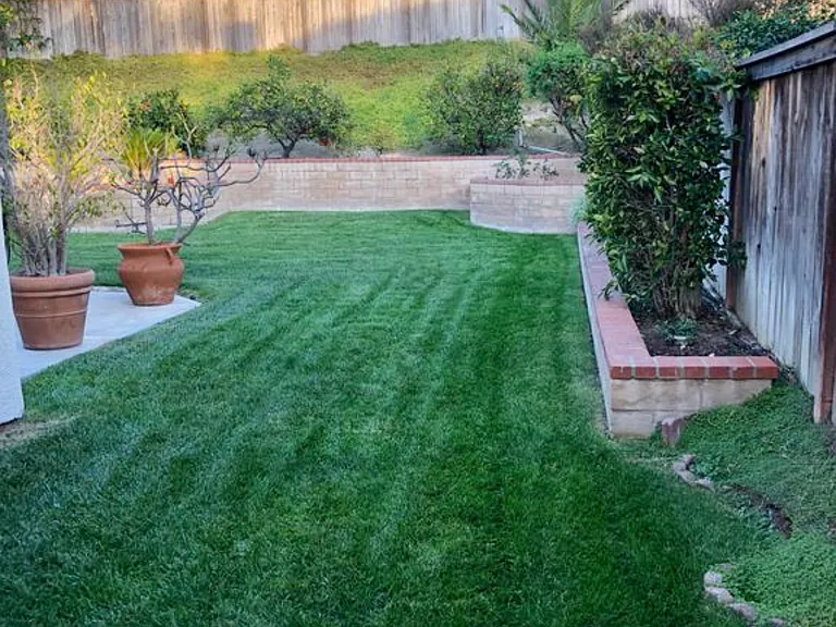 2104 Madiera Dr — Photo 8