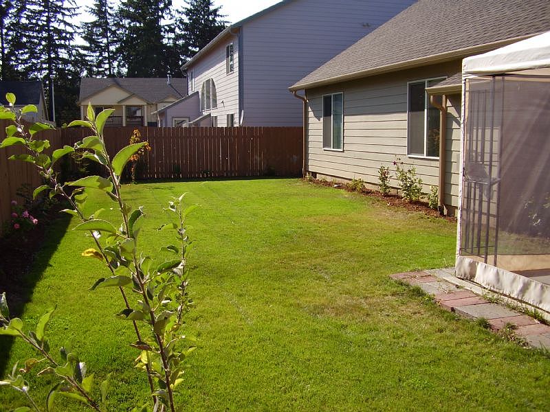Backyard v2