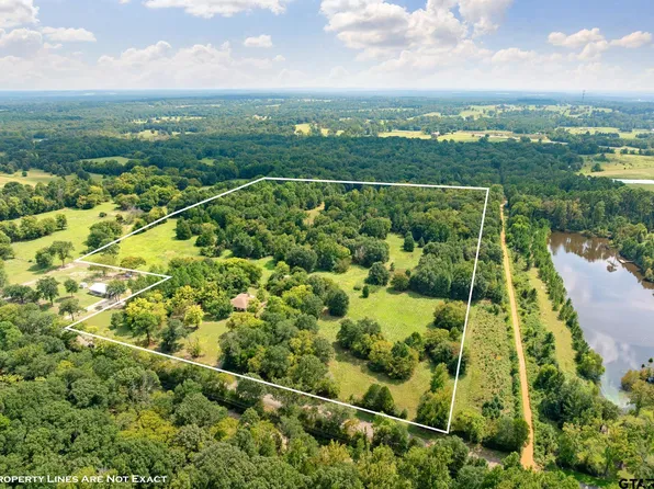 3679 Fm 858, Ben Wheeler, TX 75754