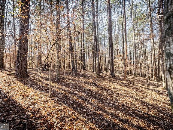 4th image of 1001 Overlook Ter