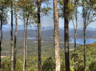 63 Upper Rocky Face Rd #10, Blue Ridge, GA 30513