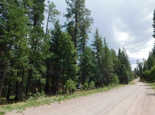 53 Alpine School Rd, Alpine, AZ 85920