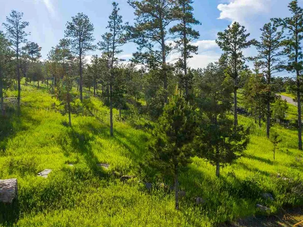 Tbd Pine Hills Dr, Rapid City, SD 57702