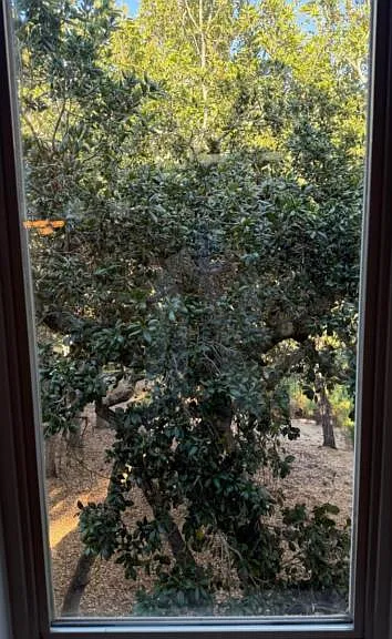 2710 Foxen Canyon Ln — Photo 16