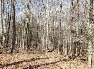 Drake Rd, Neversink, NY 12765