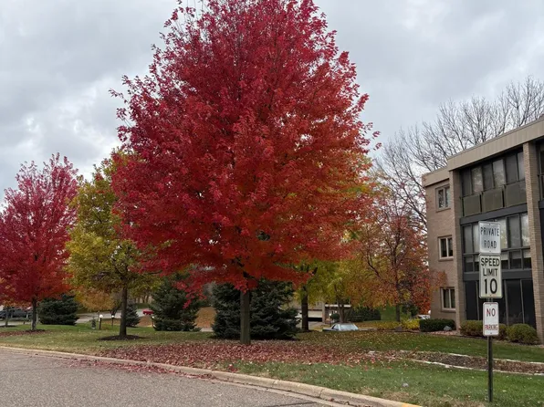 4350 Brookside Ct APT 302, Edina, MN 55436