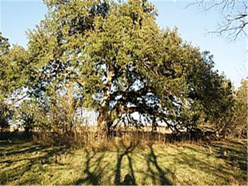 2nd image of Kovar Rd.