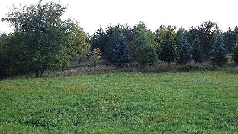 1st image of 250 Saint Annes Pkwy