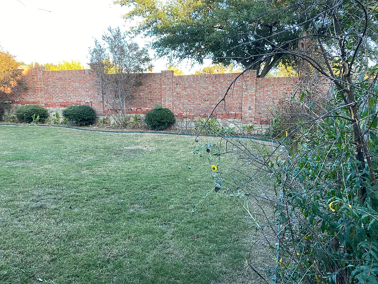 7925 Branch Hollow Trl — Photo 22