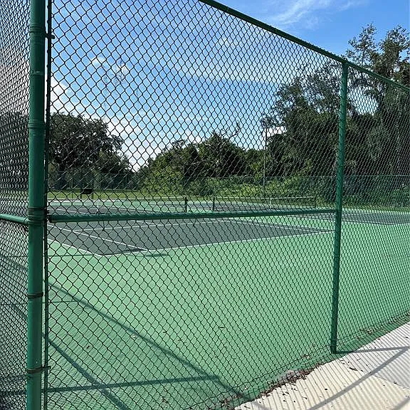 2525 Relaxing Ln — Photo 46