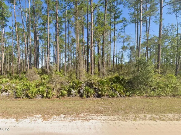 146 PINE CONE Drive, Georgetown, FL 32139