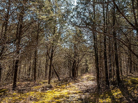 3rd image of 0 Cooper Hollow Rd