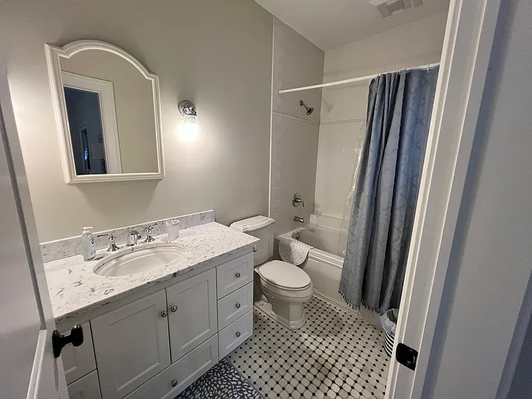 guest bath #1
