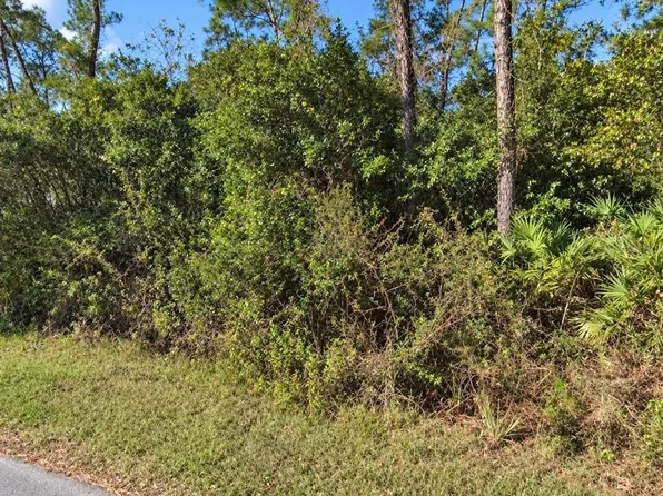 COON ROAD LOT 6, ASTOR, FL 32102