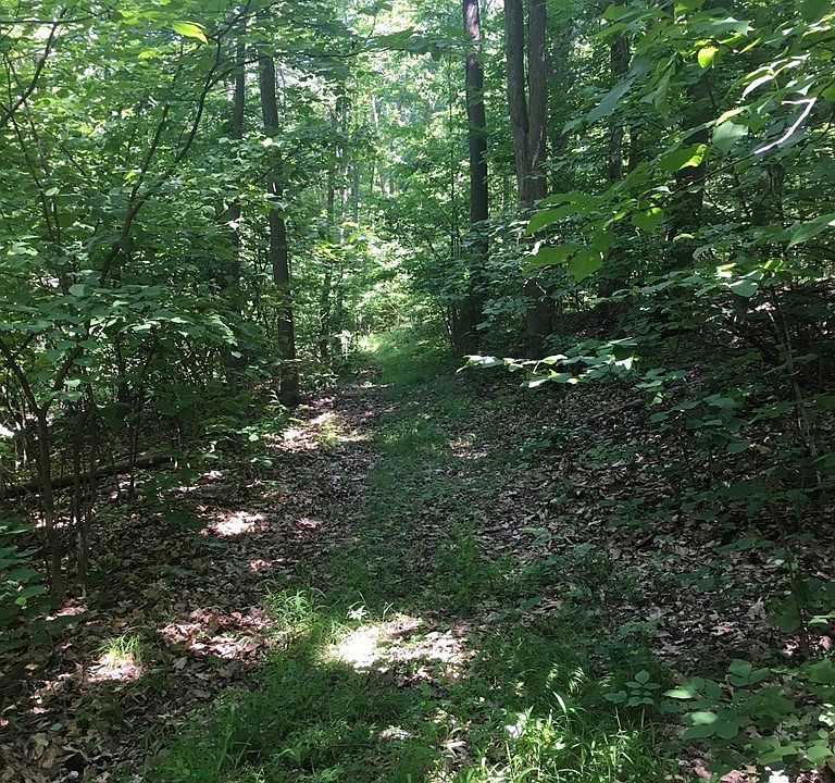 2nd image of 1500 Hoffman Hollow Rd