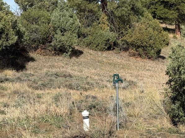 0 Garth Tract, Los Ojos, NM 87551