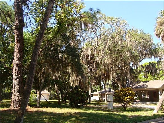 Old Florida Charm.....What a Yard!!!