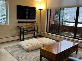 1134 Vine St #1134, Aspen, CO 81611