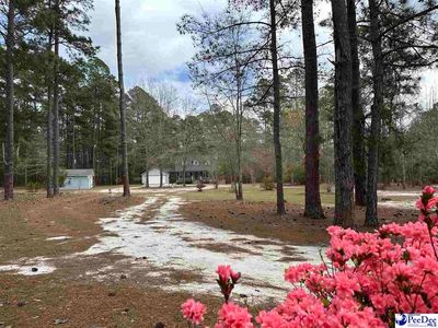 2642 McKenzie Rd, Mc Bee, SC, 29101