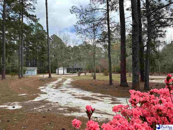 2642 McKenzie Rd, Mc Bee, SC 29101