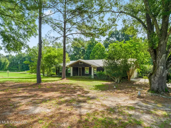 225 Hillman Rd, Poplarville, MS 39470