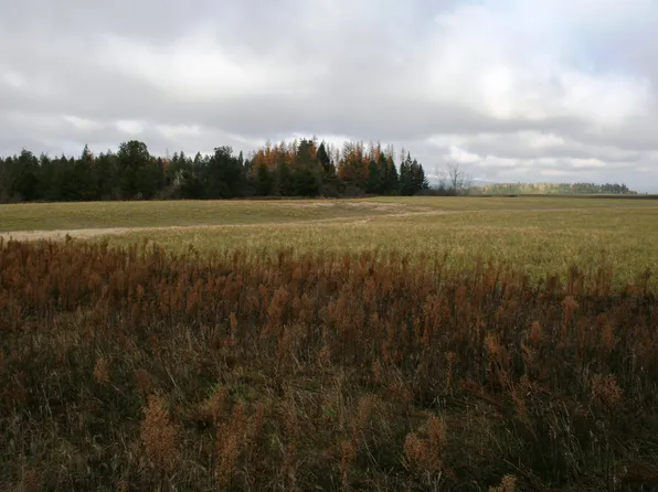 LOT 4 W Mule Deer Ln, Deer Park, WA 99006
