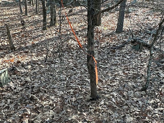 5th image of 1 Johns Valley Rd