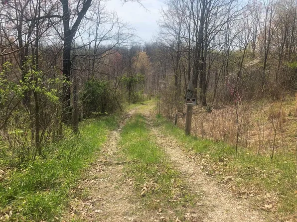 State Highway 986, Olive Hill, KY 41164